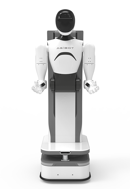 BB贝博艾弗森精灵G1